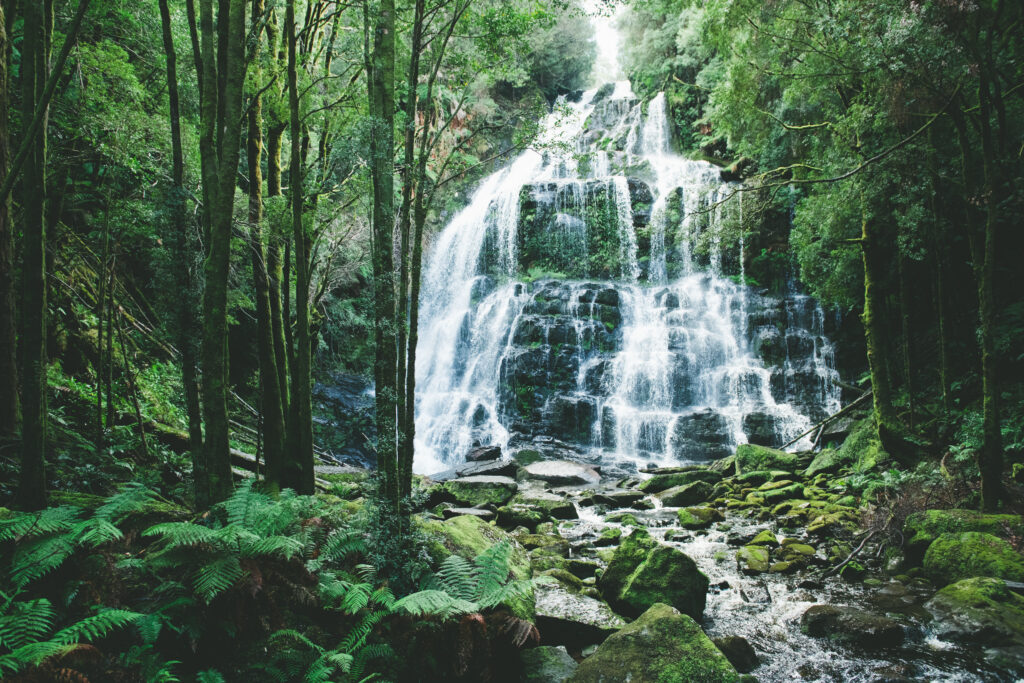 Nelson_Falls_Tasmania